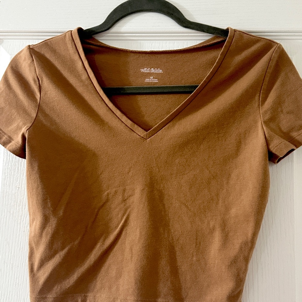 2 Wild Fable Crop Tops